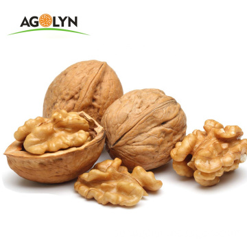 Agolyn walnut brand paper shell walnut